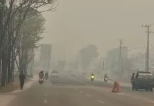 Efek Kabut Asap bagi Kesehatan