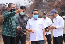Wakil Bupati Melawi Tinjau Lokasi Karhutla, Pastikan Penanganan Berjalan Optimal