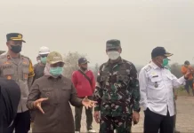 Pastikan Proses Pemadaman, Danrem 121/ABW Tinjau Penanganan Karhutla di Mempawah