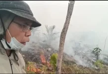 Ratusan Hektar Kebun Sawit Milik Warga di Ketungau Hilir Terbakar