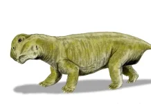 Masa ketika Dinosaurus Mulai Menguasai Daratan Bumi