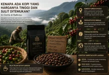 Kenapa Ada Kopi yang Harganya Tinggi dan Sulit Ditemukan? Ini Cerita di Baliknya