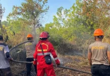 BMKG : Kualitas Udara di Sintang Tidak Sehat hingga Berbahaya