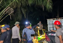 Polisi, Warga dan Perusahaan Padamkan Karhutla di Sekadau Hulu