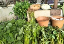 Stok Kurang, Harga Sayur di Pasar Sintang Mahal