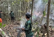 KPH Sintang Utara Perkuat Pemadaman Karhutla di Kapuas Kiri Hulu