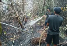 Warga Kapuas Kiri Hulu Gotong Royong Padamkan Karhutla Dekat Permukiman