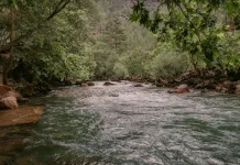 Cara Menjaga Kelestarian Bantaran Sungai