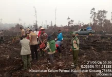 Warga Sintang Manfaatkan Lahan Terbakar untuk Bercocok Tanam