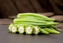 Okra, Si Hijau yang Dikenal sebagai Kacang Tanduk