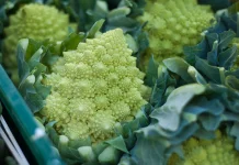 Romanesco, Sayuran dengan Bentuk Unik seperti Menara Mini