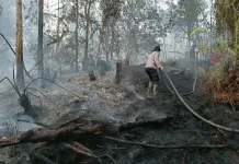 Polsek Boyan Tanjung Cek Hotspot di Landau Mentail, Api Dipastikan Padam