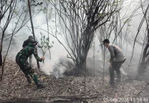 Tim Gabungan Tangani Karhutla di Kawasan TNDS Desa Pulau Majang