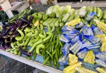Kemarau Picu Kenaikan Harga Sayuran di Sintang, Satu Gambas Dijual 20 Ribu