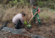Polres Kapuas Hulu, TNI dan Masyarakat Tanam Pohon di Lahan Terdampak Karhutla