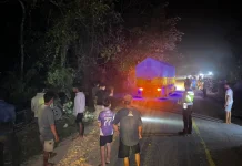 Pengendara Honda Revo Tewas Tabrakan dengan Pickup di Jalan Sekadau-Sanggau