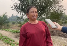Hujan Mulai Turun, Petani Sayur Mulai Menanam