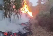 Kebakaran Lahan di Melawi Hanguskan Puluhan Hektar