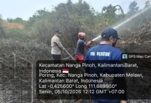 Gerak Cepat Polsek Nanga Pinoh Tangani Karhutla di Desa Poring