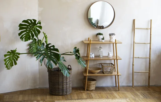 Inspirasi Dekorasi Rumah yang Simple tapi Cantik - RRI.co.id