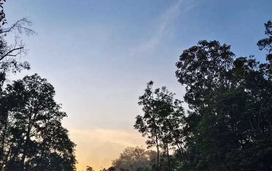 Rekomendasi 3 Tempat Piknik Menyenangkan di Kabupaten Melawi