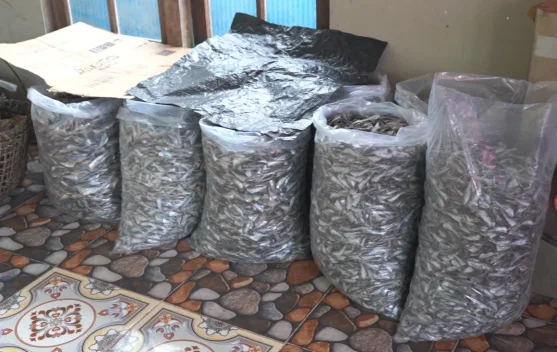 Ikan Asin  Komoditi Andalan Desa Empangau Kapuas Hulu