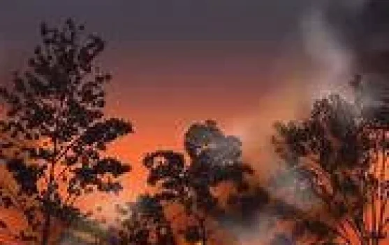 Bahaya Kebakaran Hutan dan Lahan bagi Masyarakat