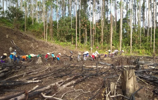 Prosesi Nugal/Namal Suku Dayak Desa