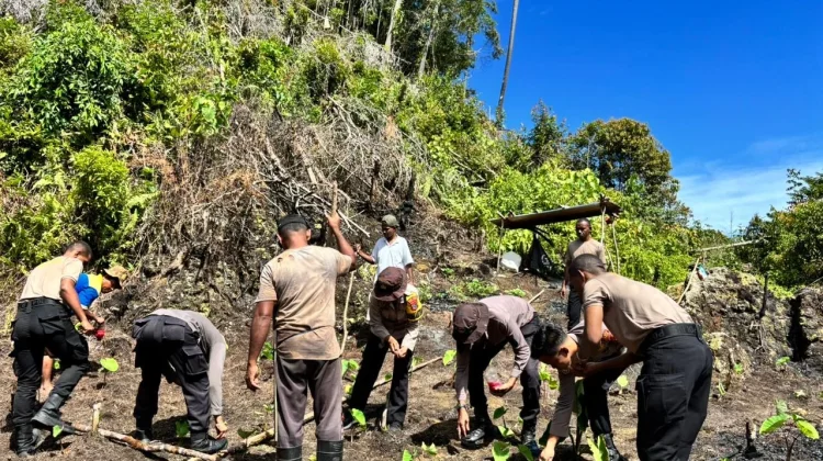 Dukung Ketahanan Pangan, Polres Maybrat Tanam Jagung di Kampung Kambuwifa