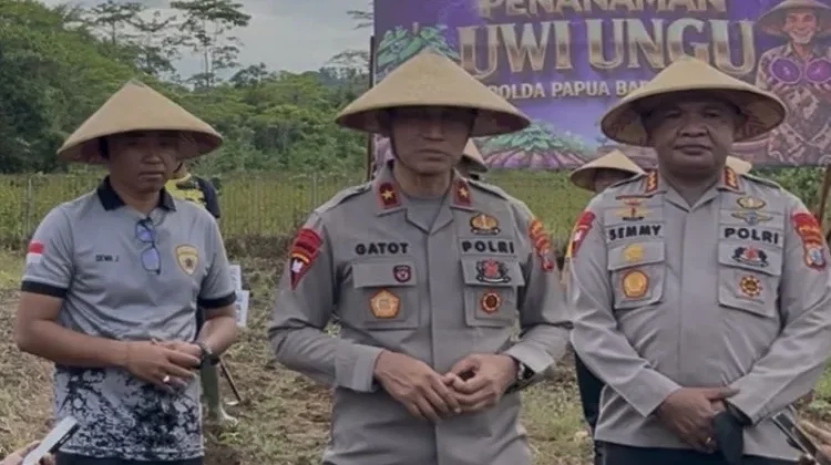 Polda Papua Barat Daya Tanam 500 Tunas Uwi Ungu Dukung Ketahanan Pangan Lokal
