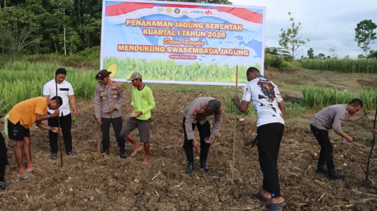 Polres Sorong Selatan Tanam Jagung Serentak Tahun 2026