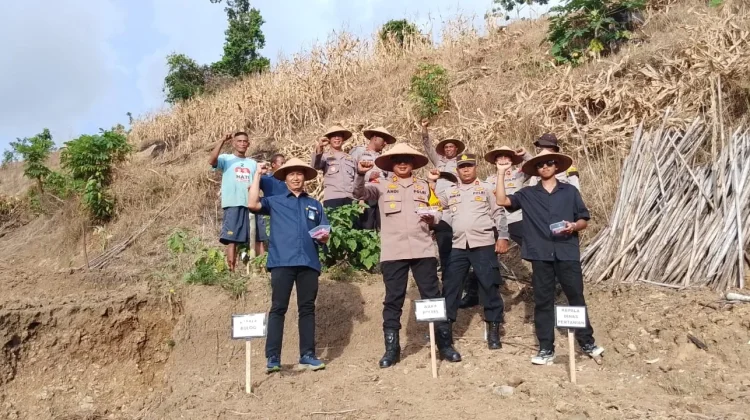 Polres Raja Ampat Laksanakan Penanaman Jagung Dukung Program Ketahanan Pangan