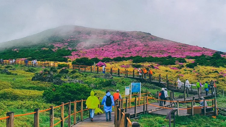 Genjot Pariwisata, Korea Selatan Rencanakan Bebas Visa untuk Indonesia