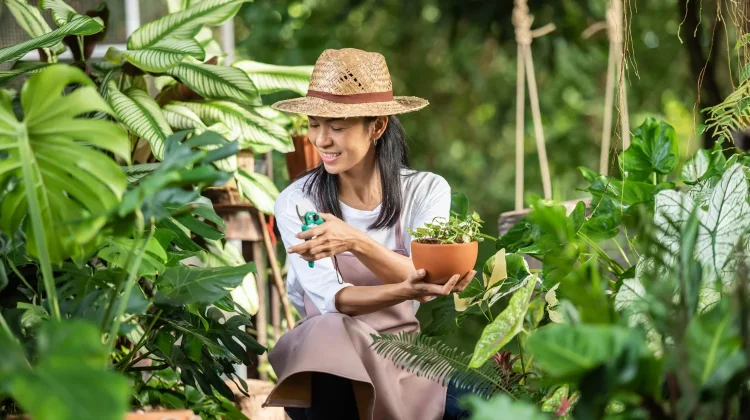 Berkebun di Rumah Jadi Tren Hidup Sehat