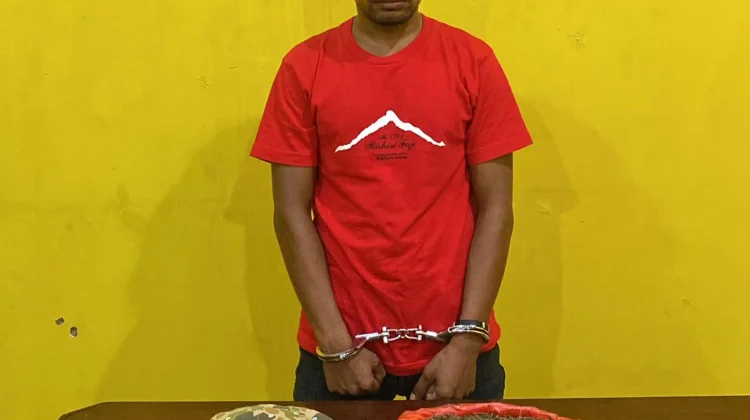 Polresta Sorong Kota Ungkap Kasus Ganja 485 Gram, Satu Tersangka Diamankan