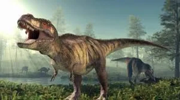 Mengapa Fosil Dinosaurus Tidak Ditemukan di Indonesia