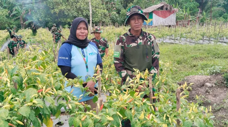 Yonif TP 807 Sorong Selatan Turut Andil alam Penguatan Pangan Nasional