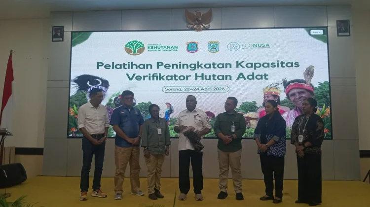 Pemprov Papua Barat Daya Gelar Pelatihan Verifikator Hutan Adat