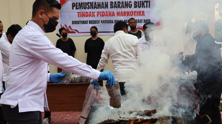 Polda Papua Barat Daya Musnahkan Barang Bukti 8.288,57 Gram Ganja