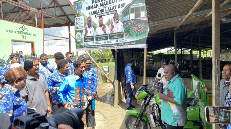 Rumah Maggot Terbesar di Tanah Papua Hadir di Aimas, Jadi Solusi Sampah Organik