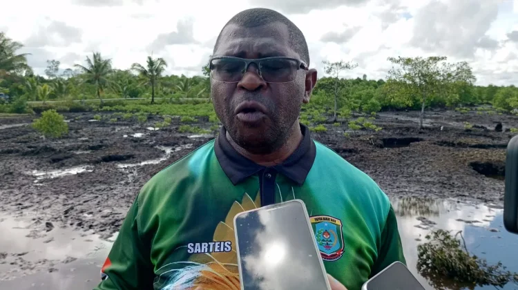 Dinas Kehutanan Papua Barat Daya Targetkan Penanaman 36 Ribu Bibit Mangrove