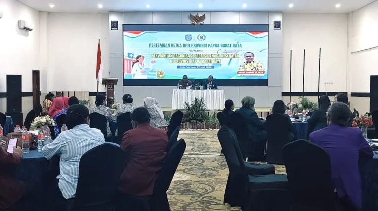 DPRP dan Organisasi Profesi Sepakati Kondisi Kesehatan PBD Mengkhawatirkan