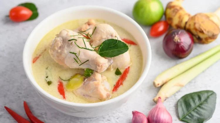 Cara Menyimpan Opor Ayam agar Tidak Basi