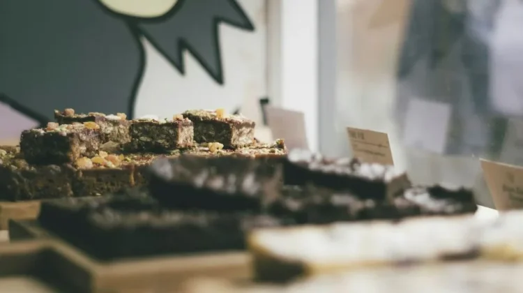Cara Memulai Usaha Makanan Rumahan