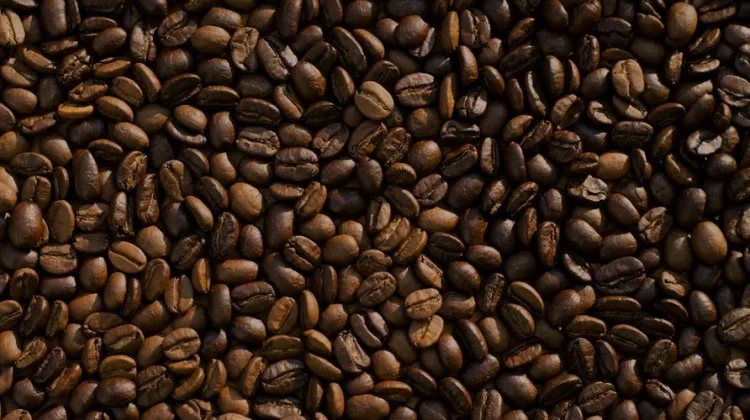 Kopi Papua dan Daerah Timur Mulai Dilirik Anak Muda