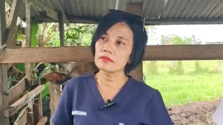 Ini Ciri Sapi Kurban Sehat, Warga Diminta Teliti sebelum Membeli