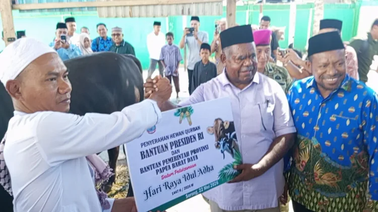 Elisa Kambu Serahkan Bantuan Hewan Kurban Presiden dan Pemprov PBD untuk Idul Adha