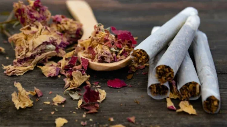 Rokok Herbal Tidak Kalah Berbahaya dari Rokok Biasa