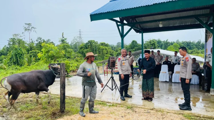 Wakapolda PBD Serahkan Hewan Kurban Iduladha ke Pondok Pesantren Fahd Al- Muslim