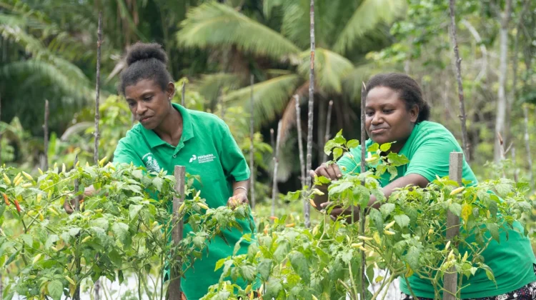 Pertamina Patra Niaga Kilang Kasim Raih Penghargaan TOP CSR Awards 2026 Star 4